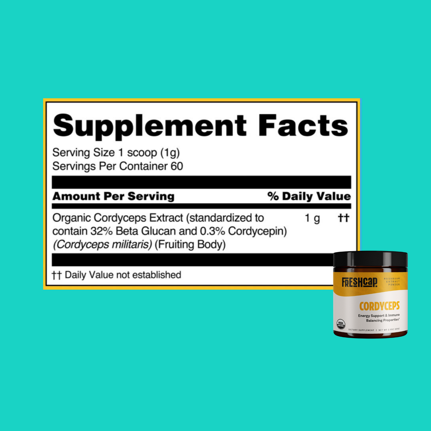 Try Mushrooms Bundle