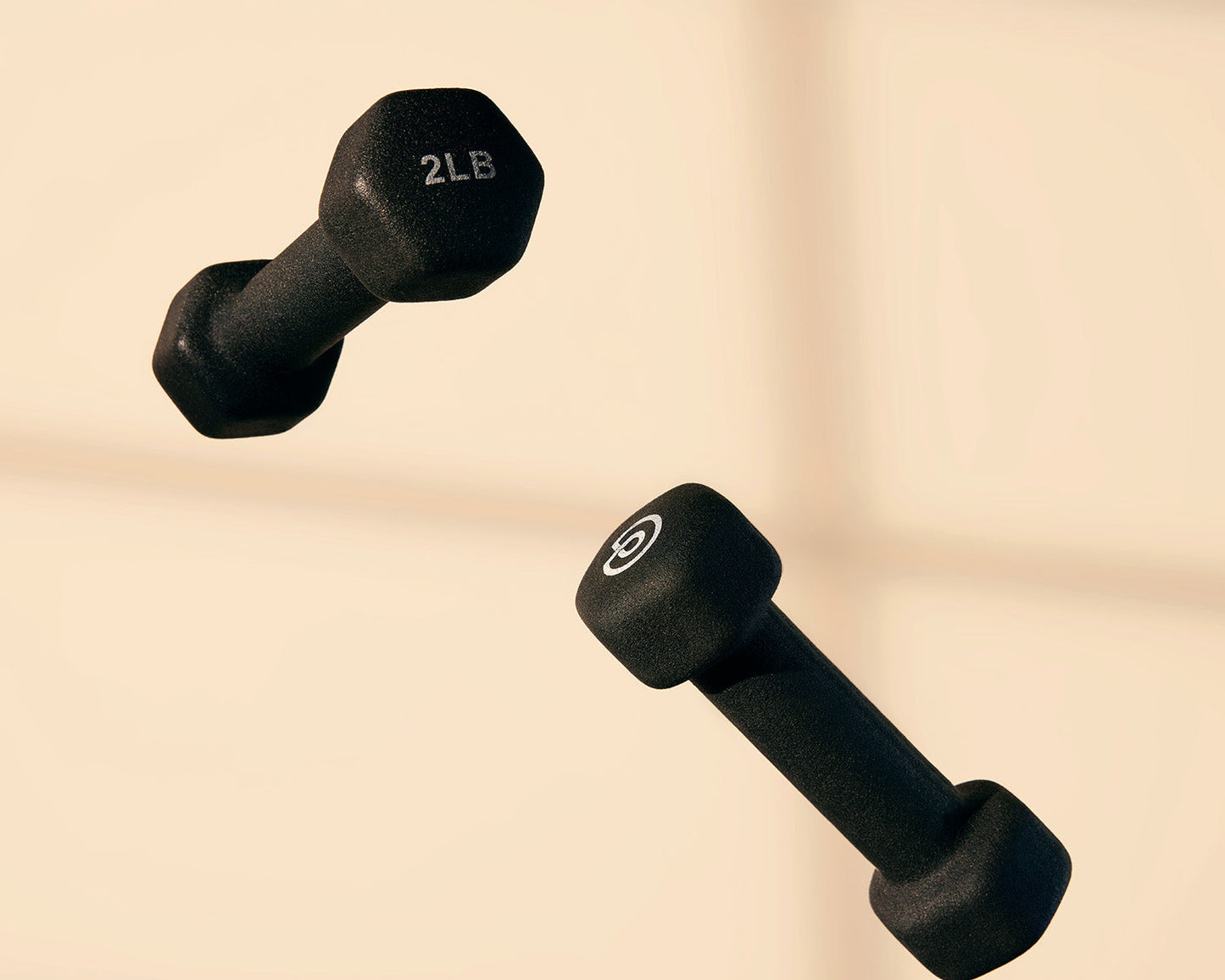 2 lb Hand Weights