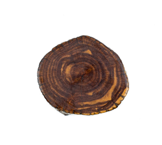 Desert Juniper Round Knife Magnet